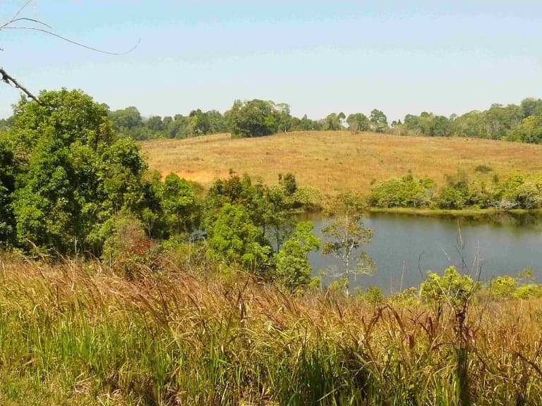 Rolling grassland and a lake in Khao Yai National Park