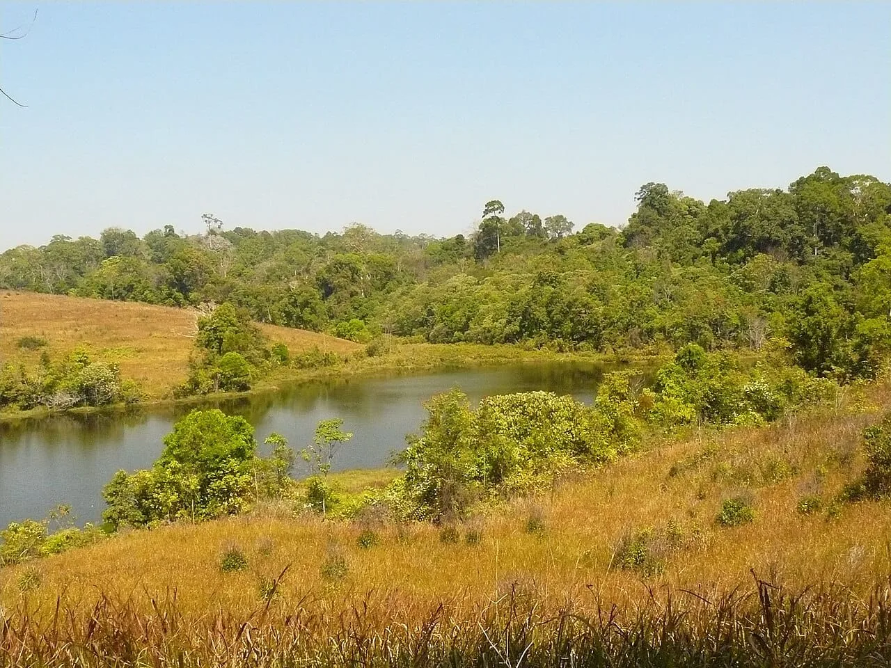 Forested ridges of Khao Yai National Park