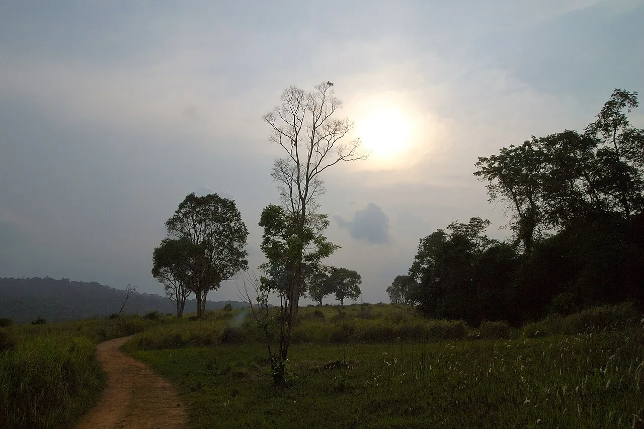 Sunset over the Khao Yai grasslands as weekend drives wind down