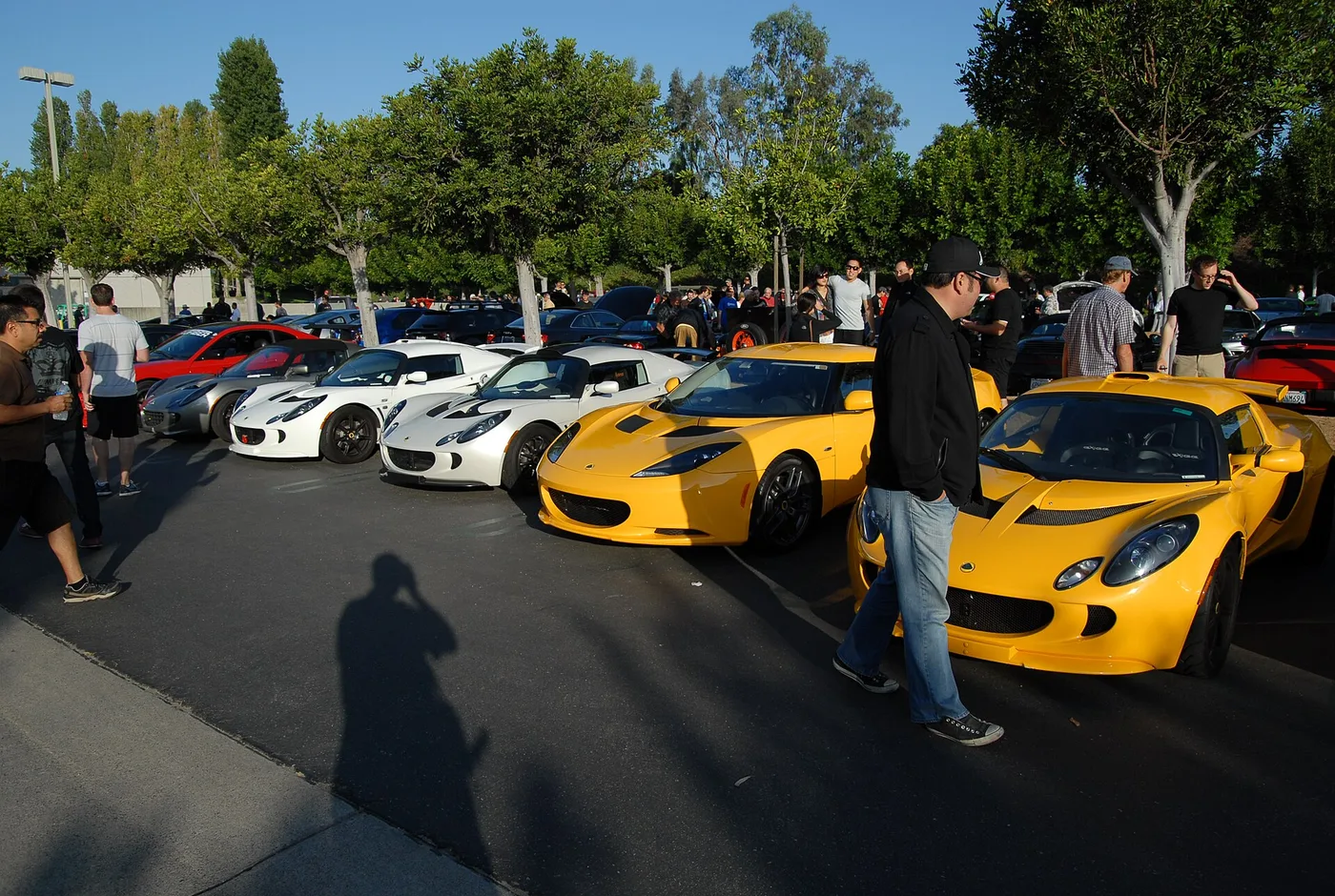 CARLISM TH Carmeet